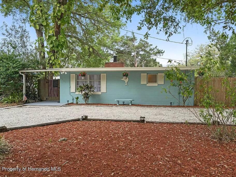ספרינג היל Cozy Vintage Waterfront Home With Fireplace And Kayaks מראה חיצוני תמונה