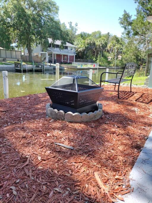 ספרינג היל Cozy Vintage Waterfront Home With Fireplace And Kayaks מראה חיצוני תמונה